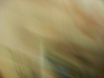 DSCN5540a