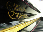 DSCN5699a
