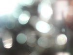 DSCN5526a