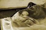 IMG_1229