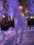 IMG_1747