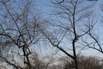 IMG_0086