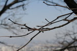 IMG_0089