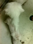 09-05-07_0121