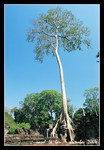 preah khan