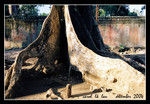 ta prohm