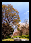 ruins of fukuoka castle 福岡城跡