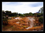 beppu honbouzu hell   別府本坊主地獄