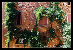 roussillon