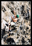 0205 climbing012c