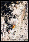 0205 climbing018c