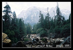 view from lower yosemite fall