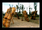 sheepskin raft  羊皮伐