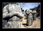 qingling tomb 乾陵