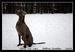 DSC_2623-c1
