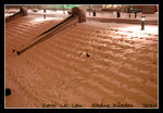 DSC_2784-c1