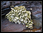 154_5448r1c