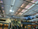 Ge_Munich_Airport 1