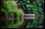 DSC_5405_2