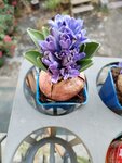 IMG_20240105_104541