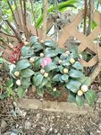 IMG_20240111_160726