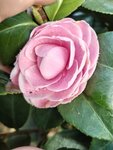IMG_20240111_161519