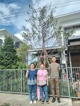IMG_20240527_161218