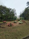 IMG_20240731_100209