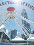 IMG_20240803_131014
