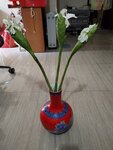 IMG_20240804_094408