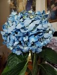IMG_20240822_180330