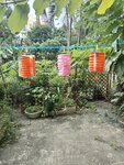 IMG_20240910_143524