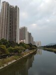 IMG_20241011_065353