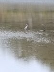 IMG_20241020_062948