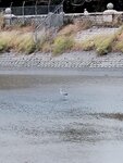 IMG_20241020_063002