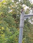 IMG_20241025_070325