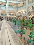 IMG_20241028_164220