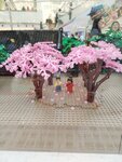 IMG_20241028_164346