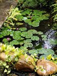 IMG_20241119_141457