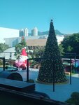 IMG_20241203_153309