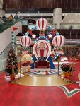 IMG_20241209_095217