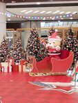 IMG_20241209_095426