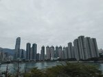 IMG_20241209_100508