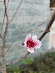 IMG_20241217_153202