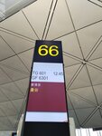 IMG_20250117_114834