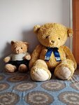 IMG_20250119_160419