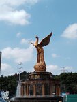 IMG_20250302_134809
