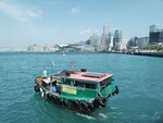IMG_20250416_150318