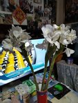 IMG_20250802_203126