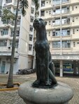 IMG_20250810_102844